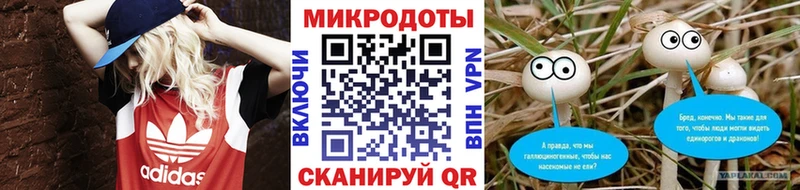Псилоцибиновые грибы GOLDEN TEACHER  купить наркотики цена  Сасово 